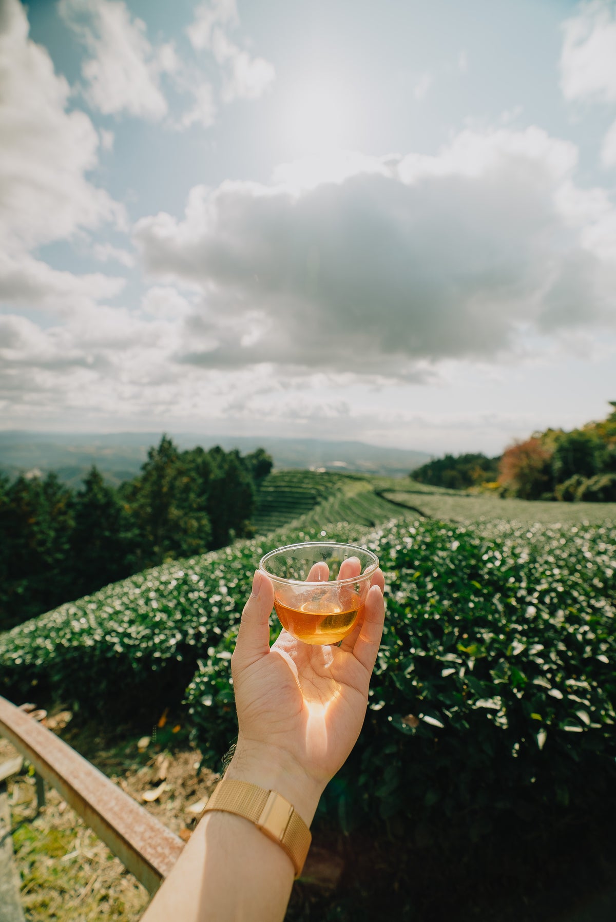 Guided wine tasting flight and guest materials