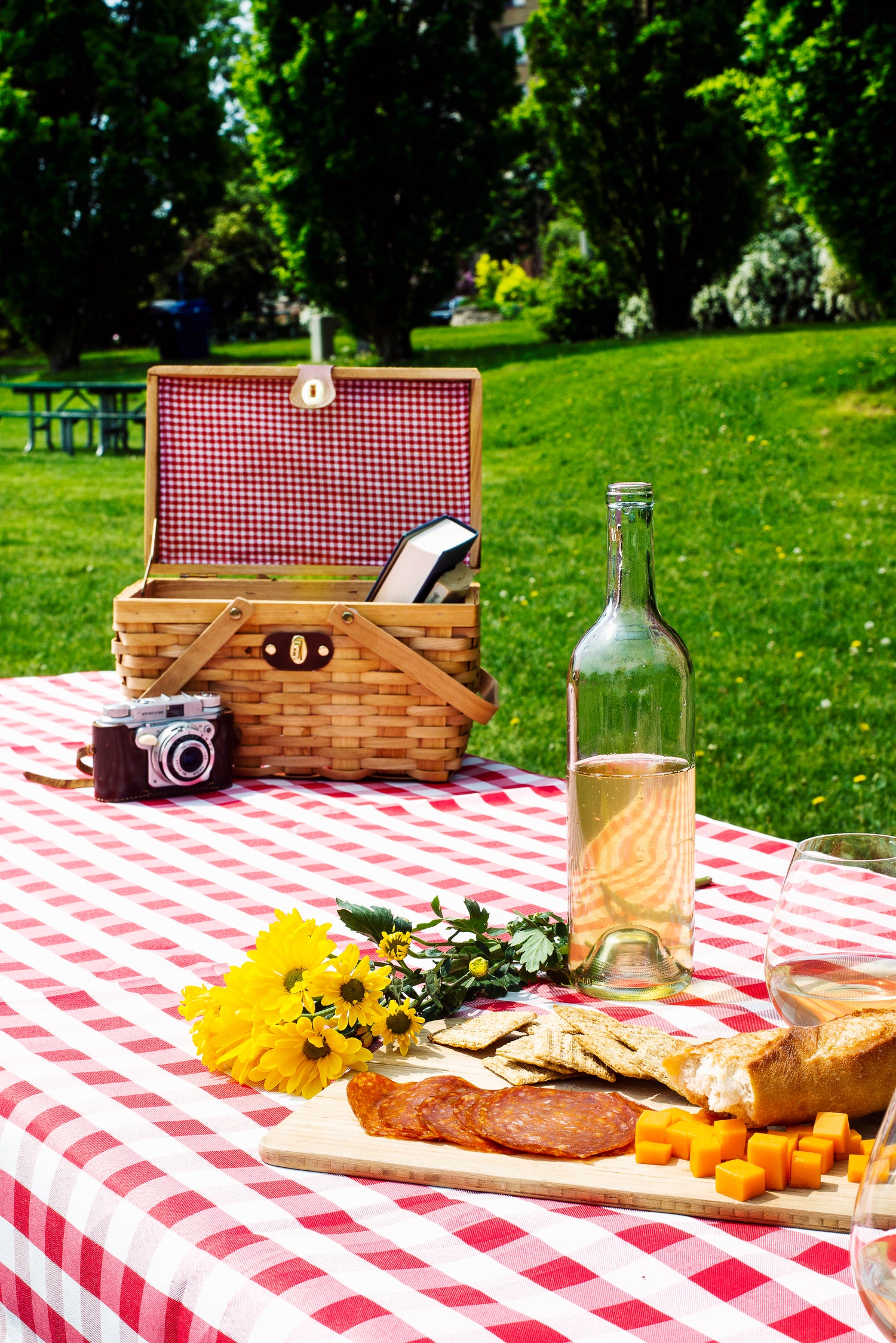 Wine experiences shaped by a genuine journey.